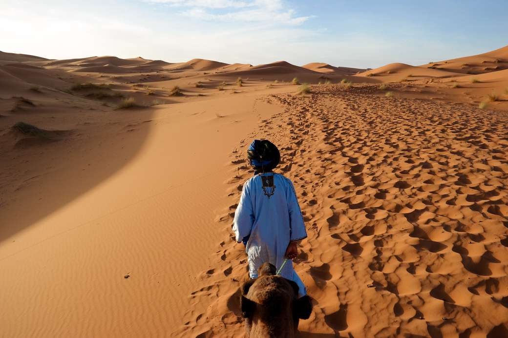 Пустинята Сахара онлайн пъзел