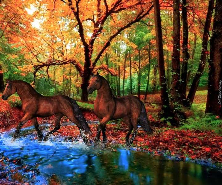 Pferde im Wald, Herbst Online-Puzzle