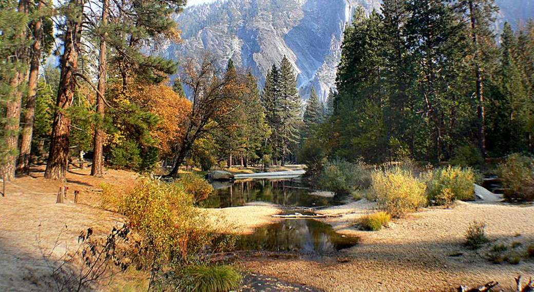 Yosemite Park puzzle online
