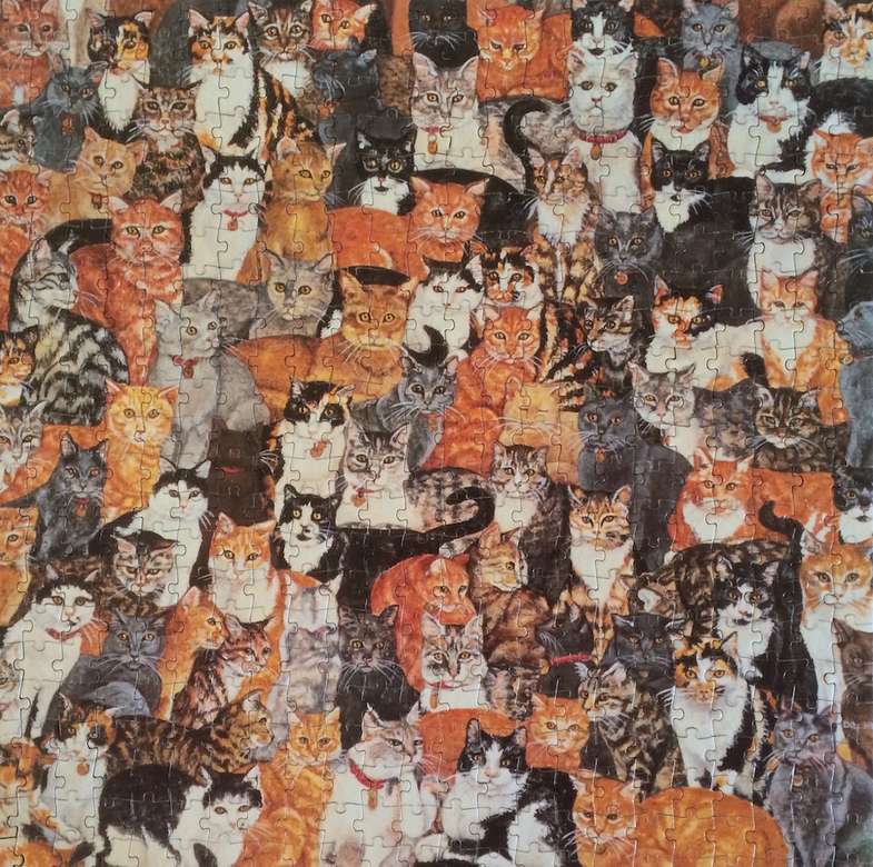 Pisici minunate puzzle online