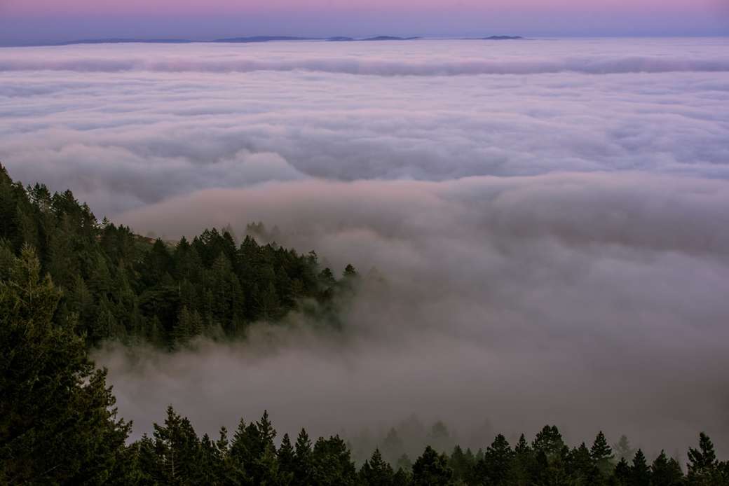 Низький туман вкриває гору Тамалпаїс онлайн пазл