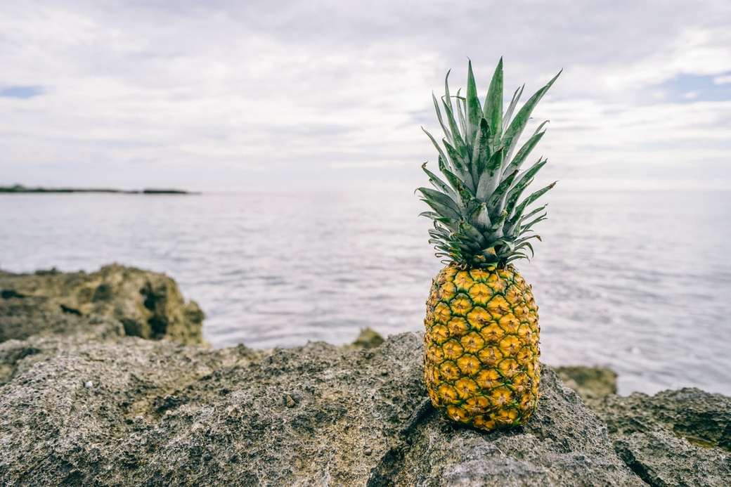 Ananas auf den Felsen Puzzlespiel online