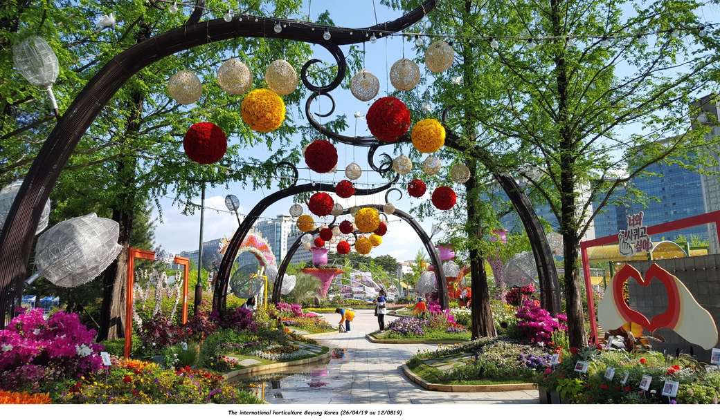 Nemzetközi kertészeti Korea kirakós online