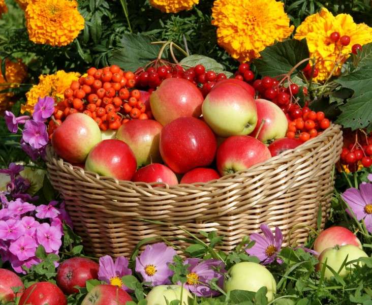 Ябълки в кошницата и цветя онлайн пъзел