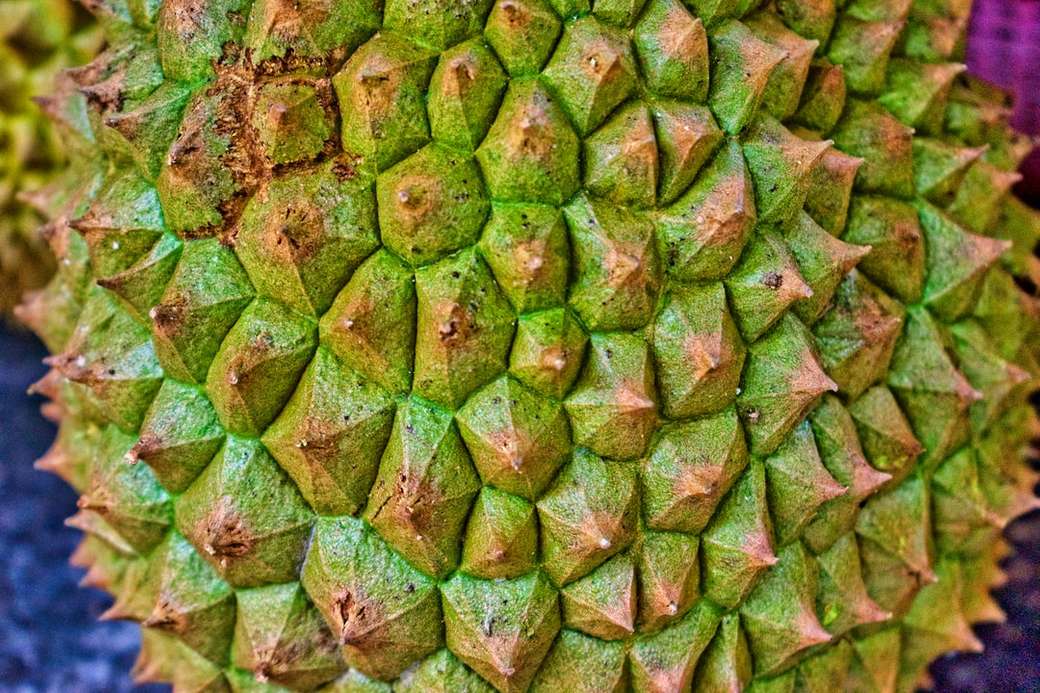 Durian Frucht Online-Puzzle