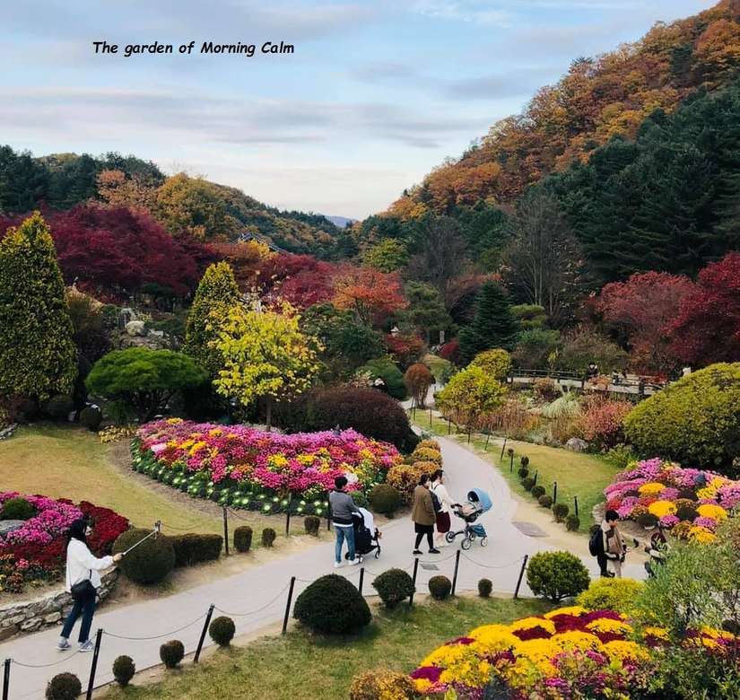 Egy kert Dél-Koreában online puzzle