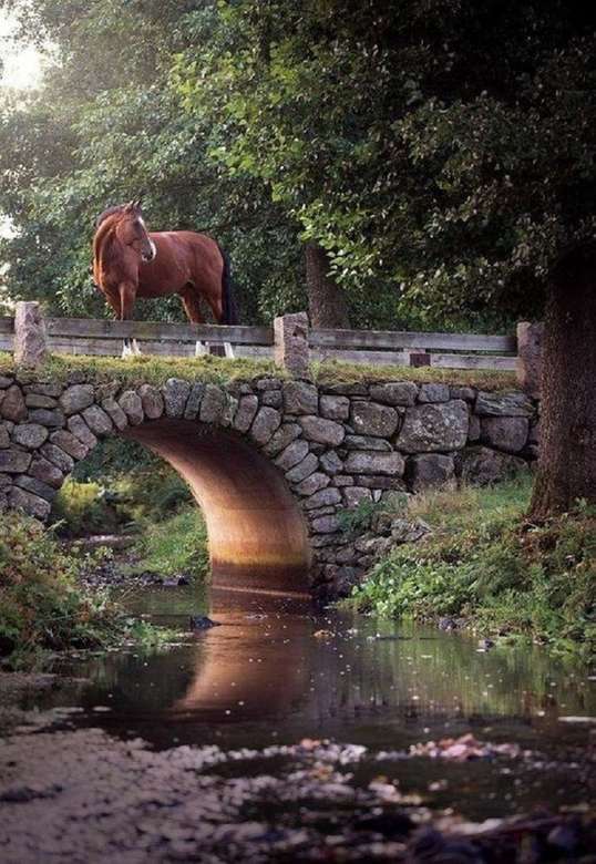 Pferd auf der Brücke. Puzzlespiel online