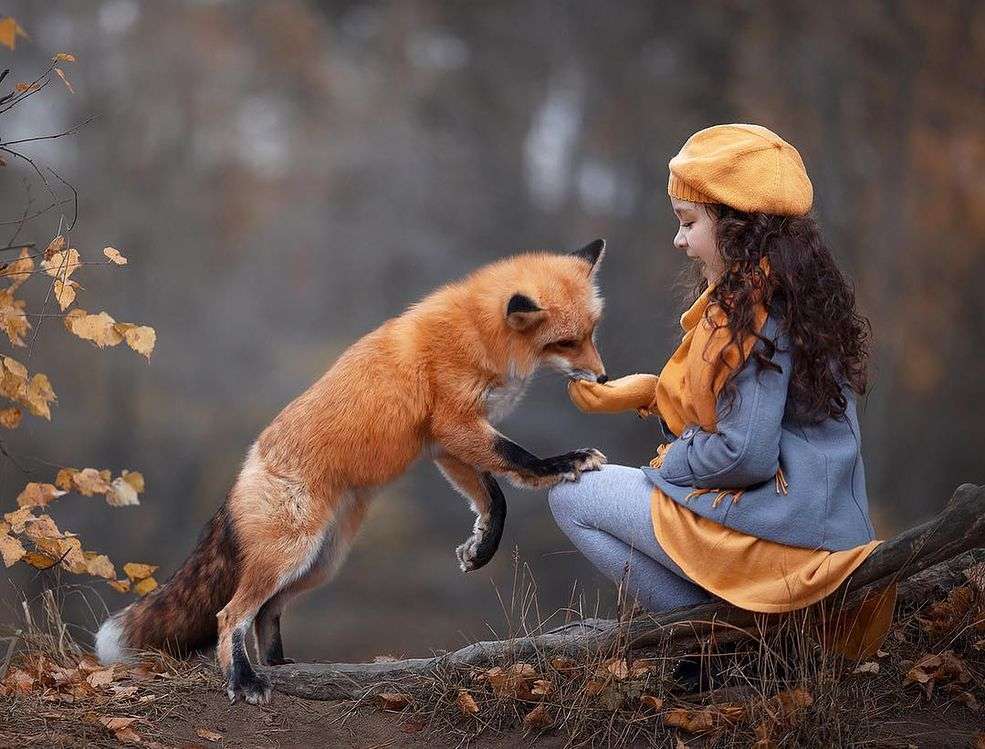Uma raposa com uma garota puzzle online