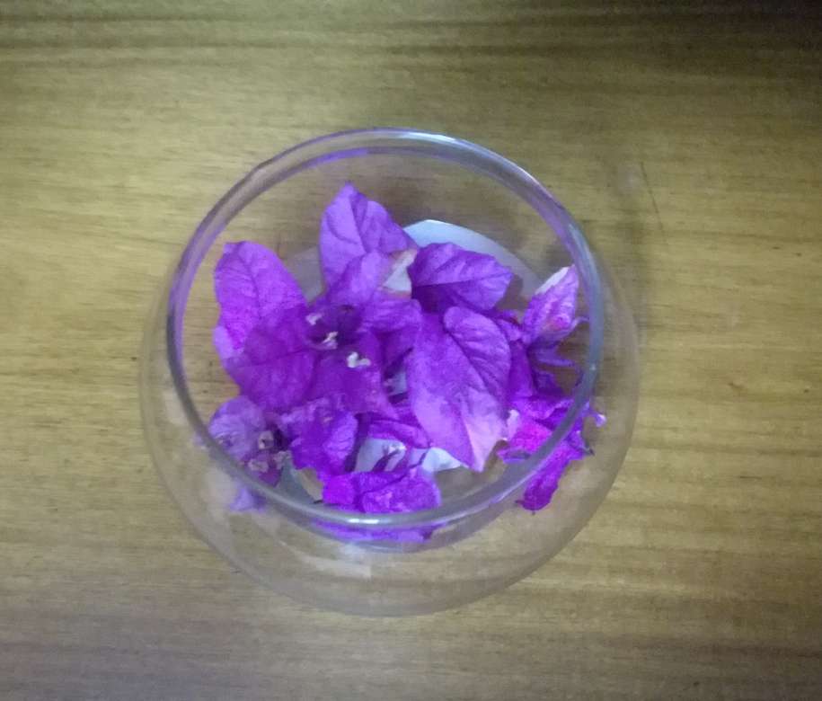 Violettes de Santa Ritas puzzle en ligne