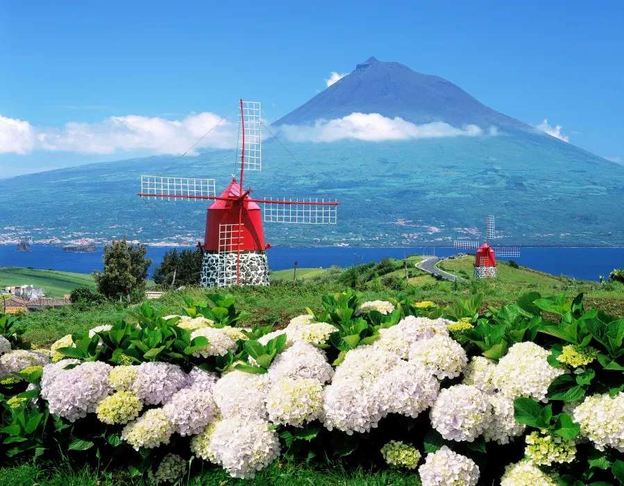 Berge, Windmühle, Blumen Puzzlespiel online