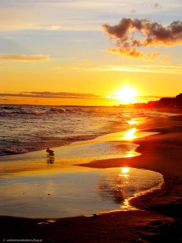 soluppgång över havet Pussel online