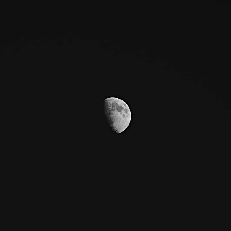 Monokrom måne. Pussel online
