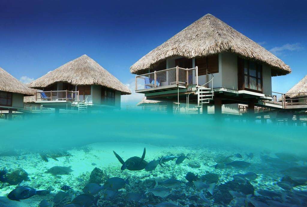 Resort in Bora Bora jigsaw puzzle online