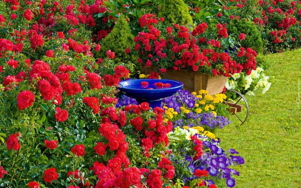fleurs dans le jardin puzzle en ligne