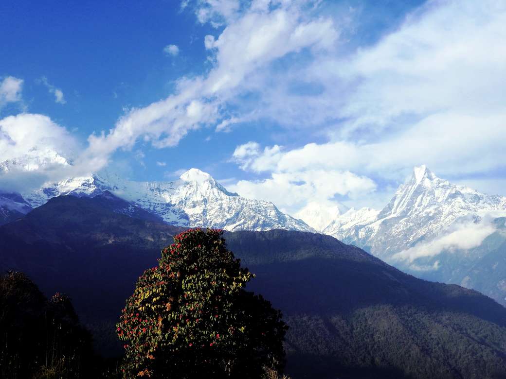 Himalaya rompecabezas en línea