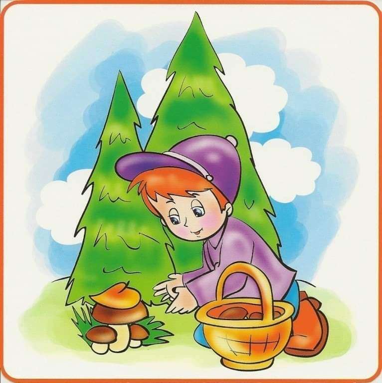 De kleine jongen plukt paddenstoelen legpuzzel online