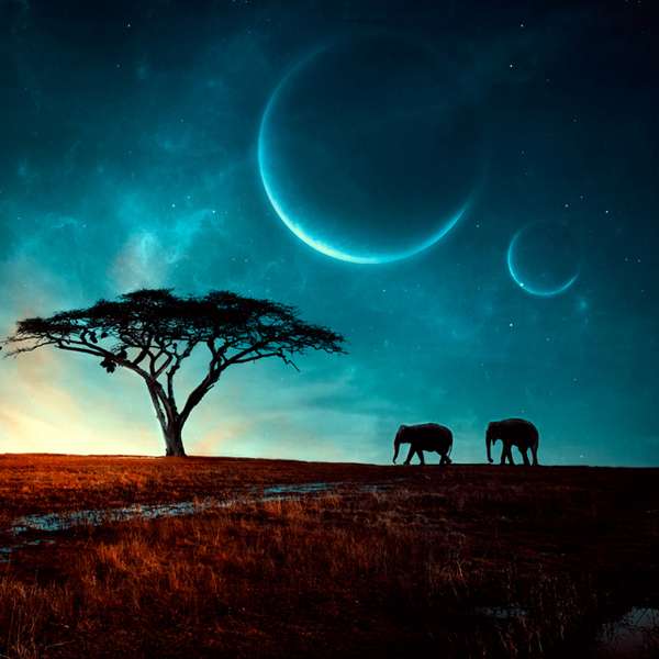 månen & elefanter Pussel online