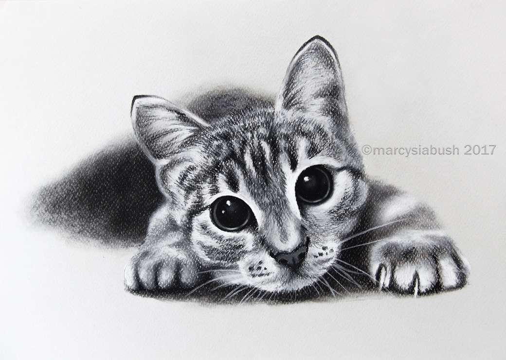 котка, нарисувана с въглен онлайн пъзел