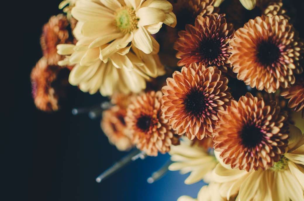 Bouquet beige und orange Blüten Online-Puzzle