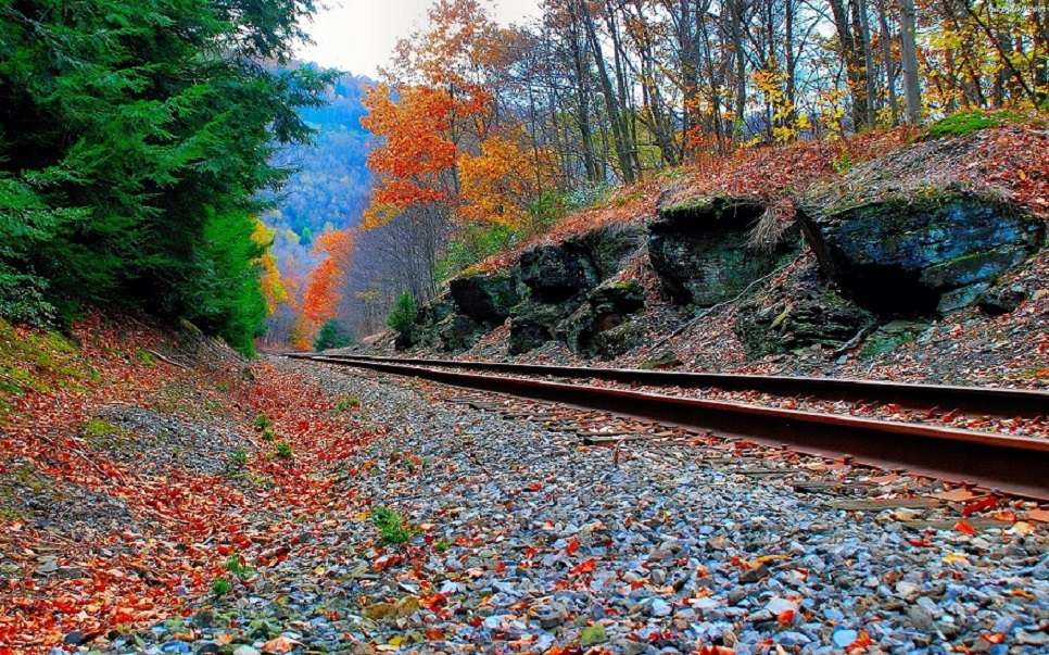 Autumn on the railroad tracks. online puzzle
