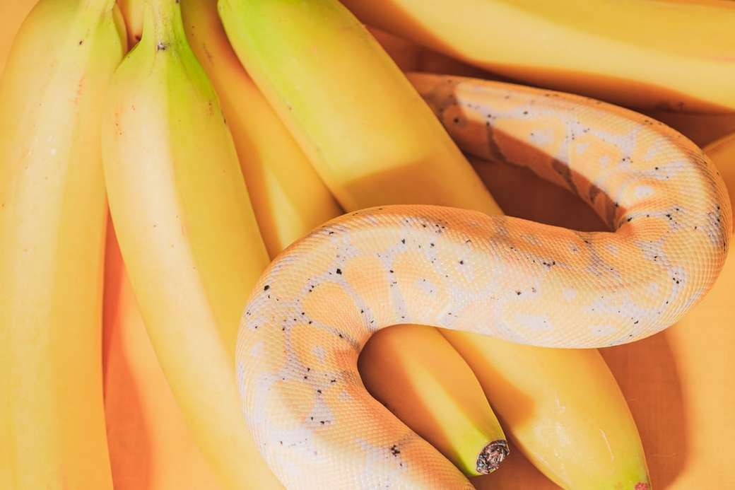 žluté banánové ovoce na hnědý dřevěný stůl skládačky online