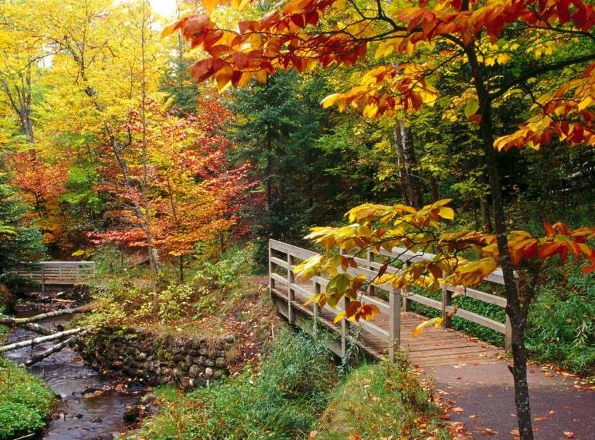 Мост и река, есен онлайн пъзел