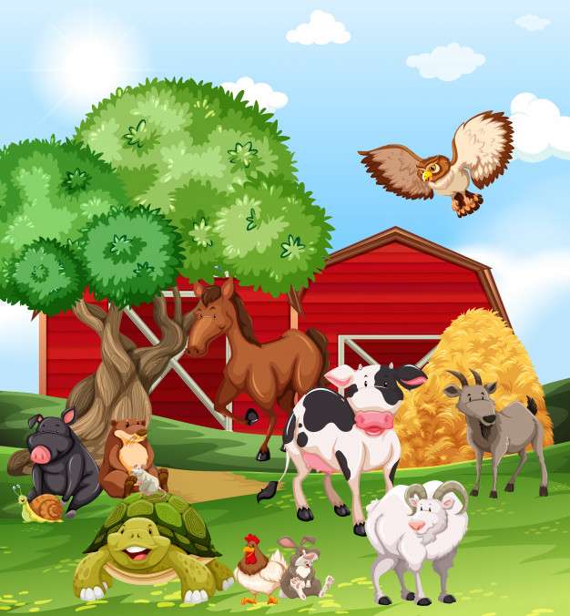 Тварини в сільській місцевості онлайн пазл