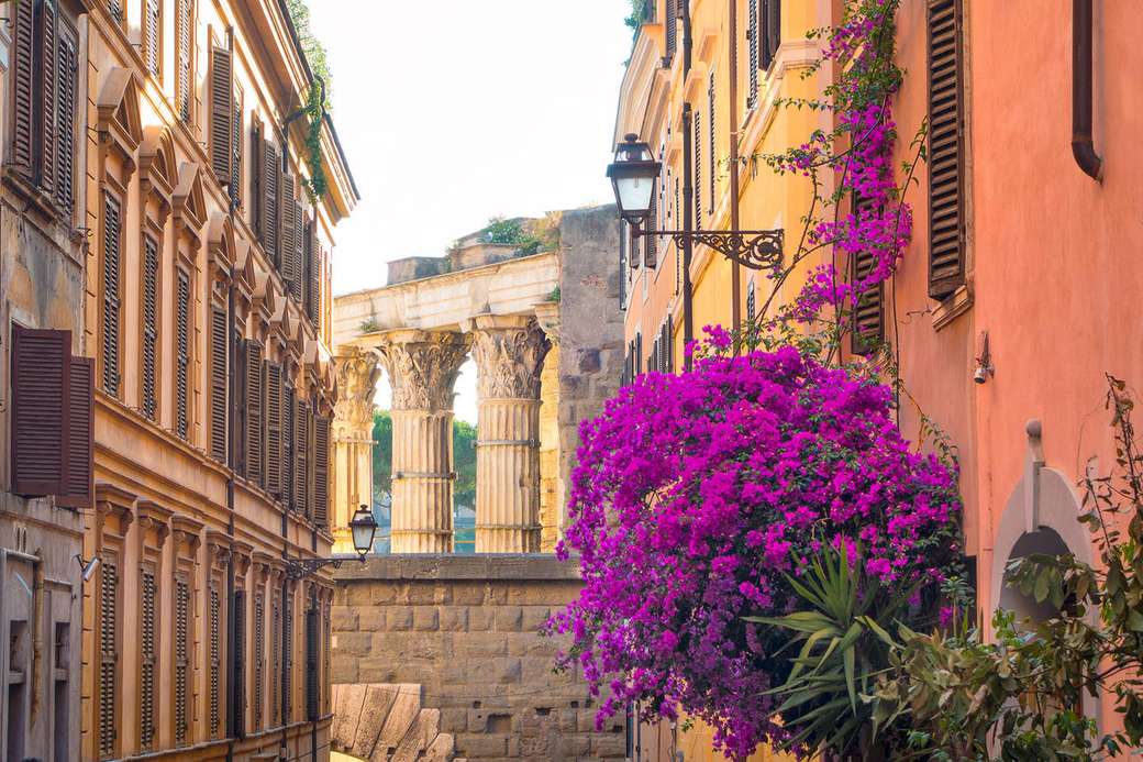 Старият град на Рим с изглед към древни места онлайн пъзел