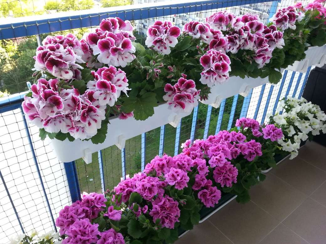 květiny v květináčích na balkóně skládačky online
