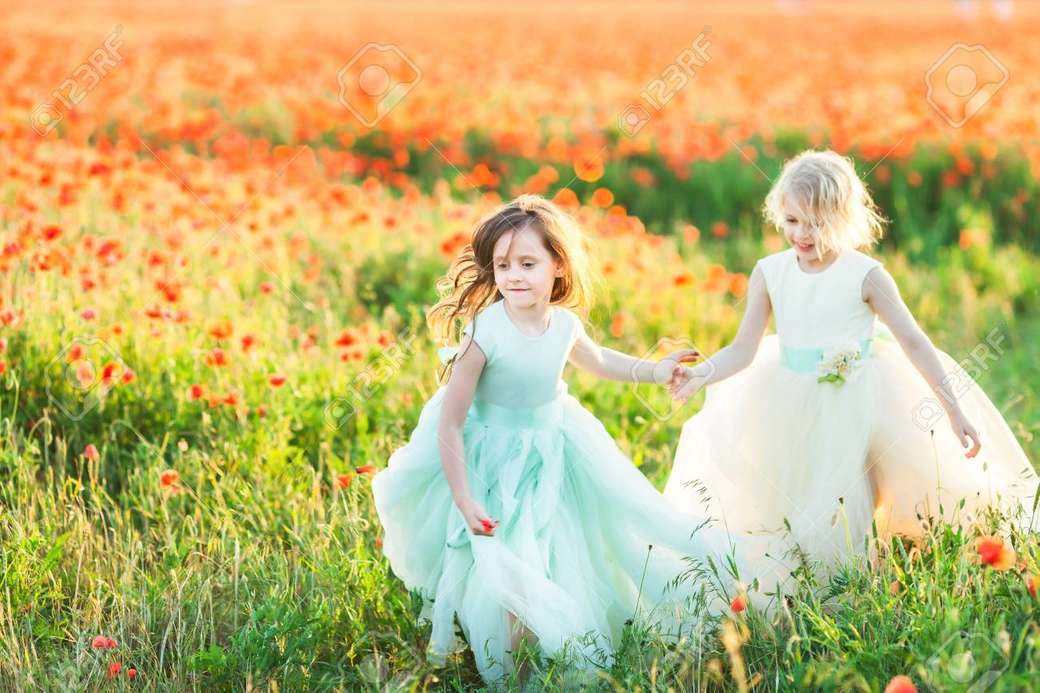 little girls on the meadow jigsaw puzzle online