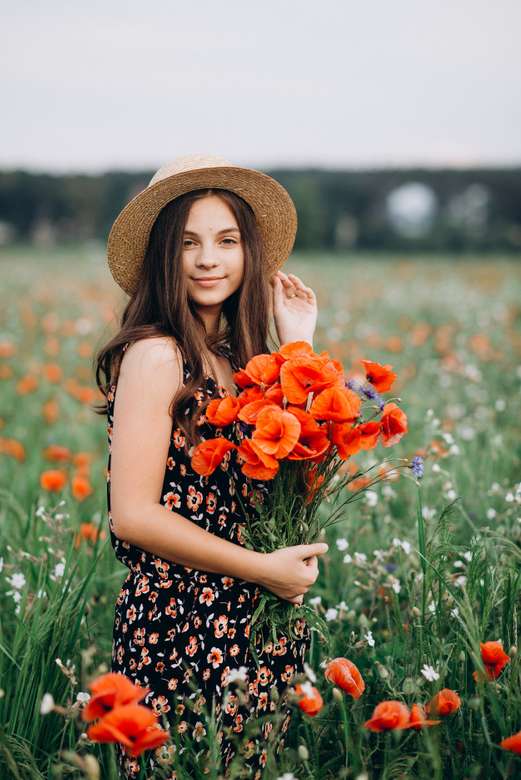 woman in the meadow with poppies online puzzle
