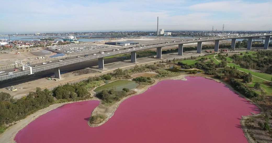 rózsaszínű tó Ausztráliában online puzzle
