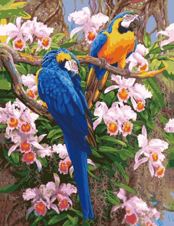 Papagali colorati puzzle online