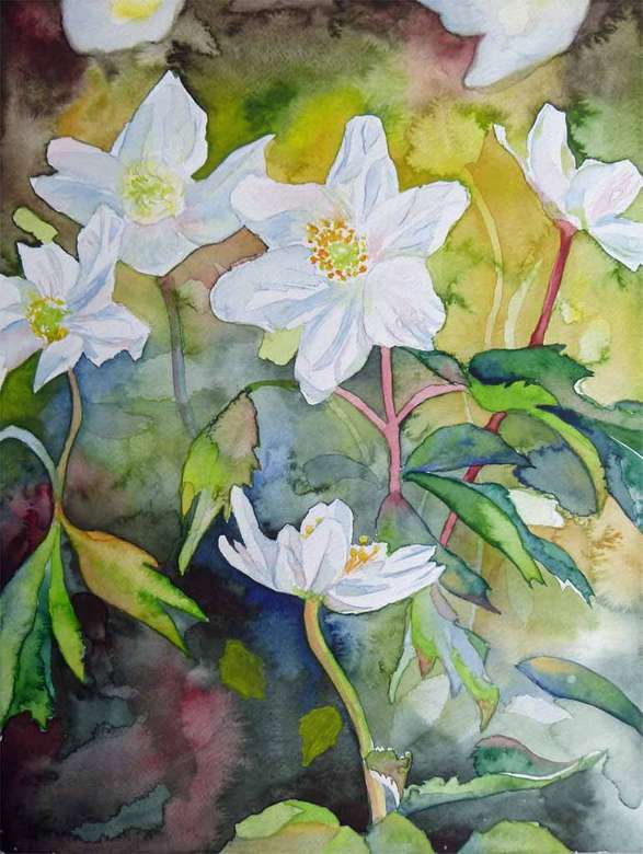 Akvarelu bílé květy skládačky online