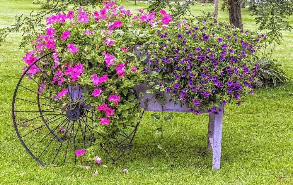 Decoração de jardim. Carroça de feno plantada puzzle online