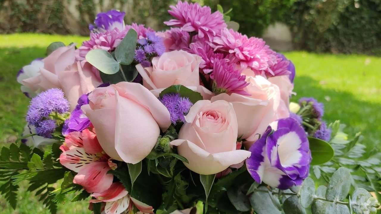 Красивые цветы онлайн-пазл