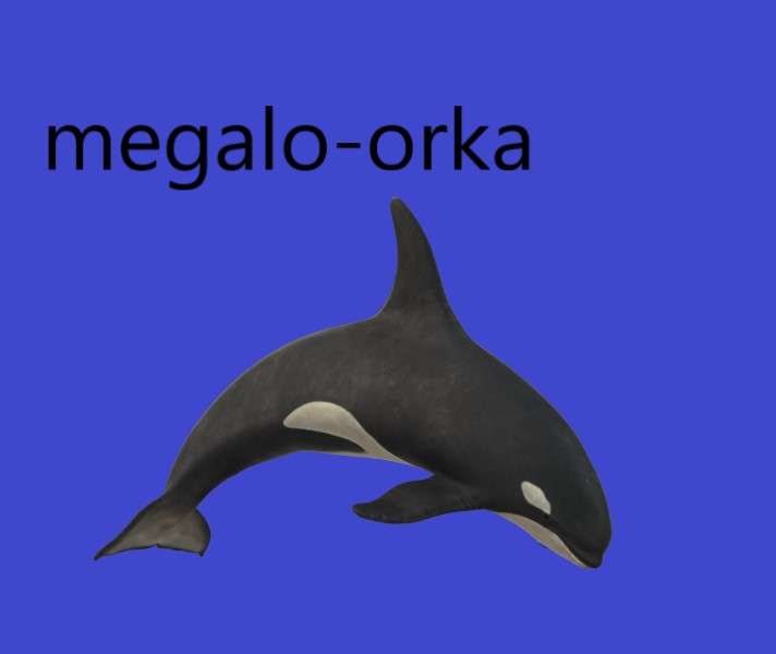 baleia megalo-assassina quebra-cabeças online