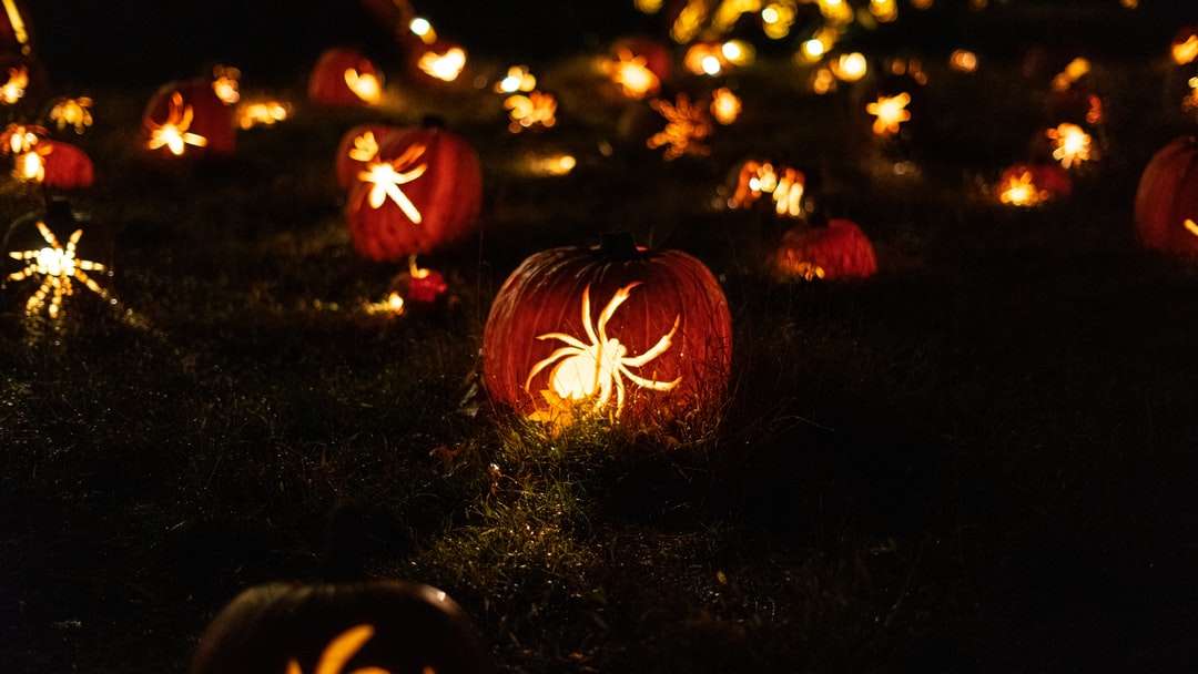 Το πεδίο της αράχνης Jack O'lanterns online παζλ