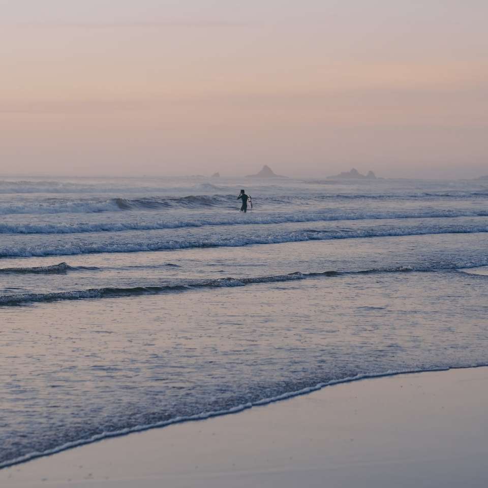 людина гуляє на пляжі в денний час пазл онлайн