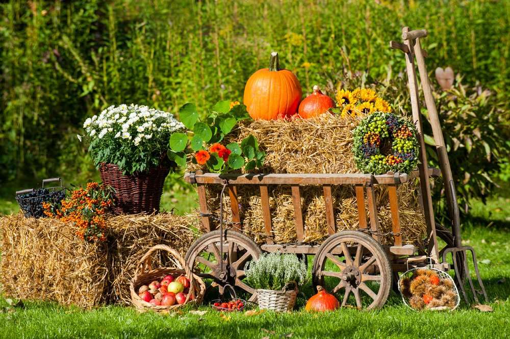 Decoração de outono no jardim puzzle online
