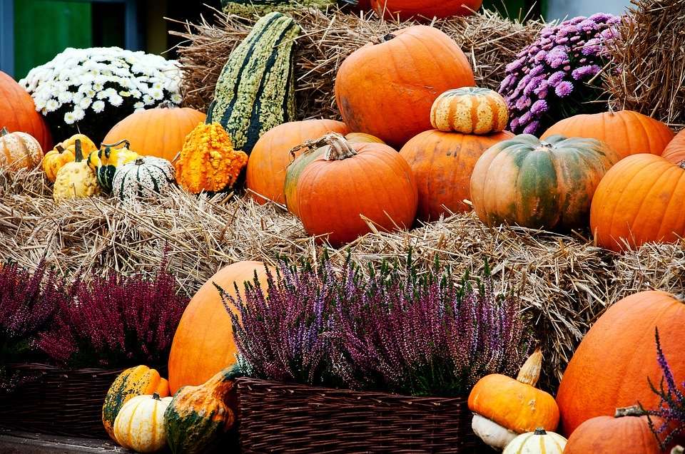 秋の収穫と装飾 オンラインパズル