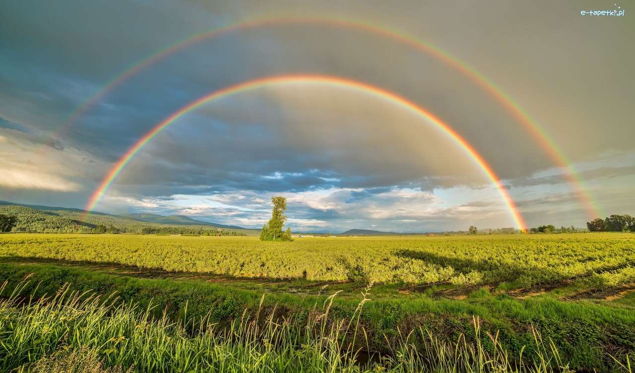arco-íris duplo sobre o prado puzzle online