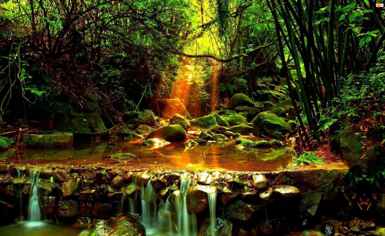 stream in the forest jigsaw puzzle online