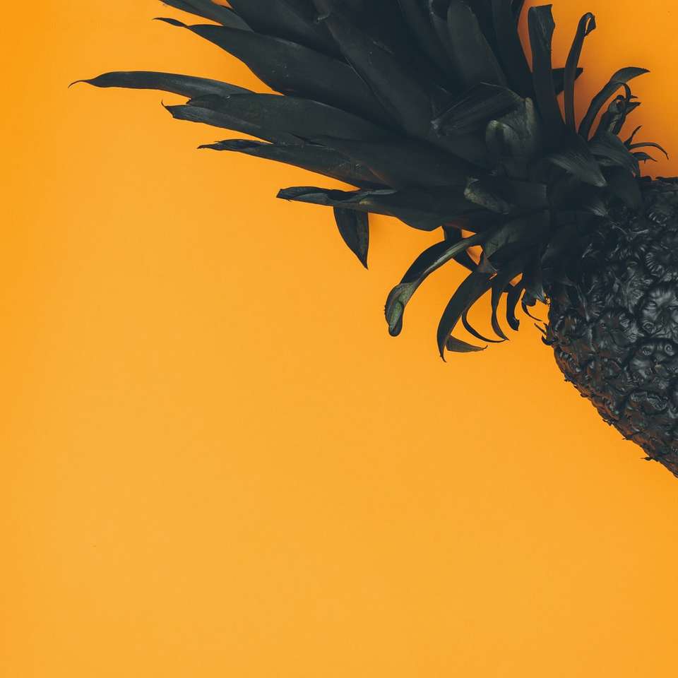 オレンジ色の背景にパイナップル ジグソーパズルオンライン