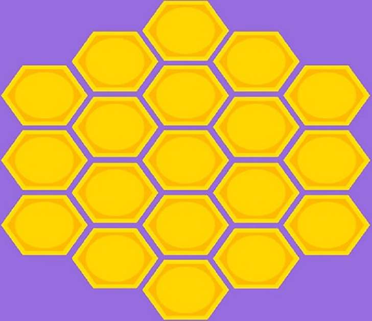 h est pour nid d'abeille puzzle en ligne