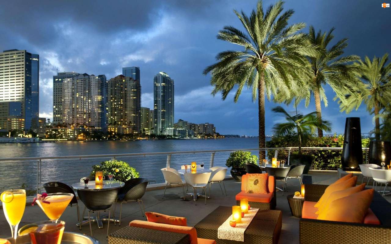 view from the terrace- Florida- Skyscrapers jigsaw puzzle online