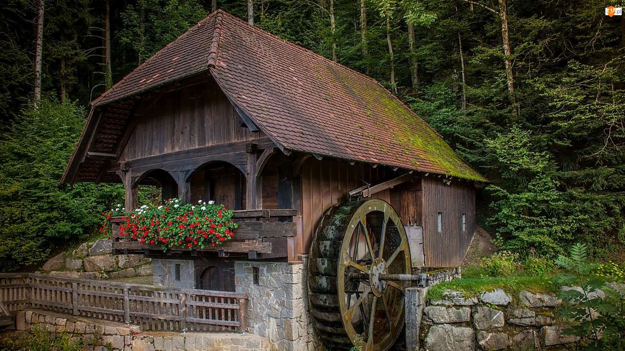 Die Wassermühle im Wald Online-Puzzle