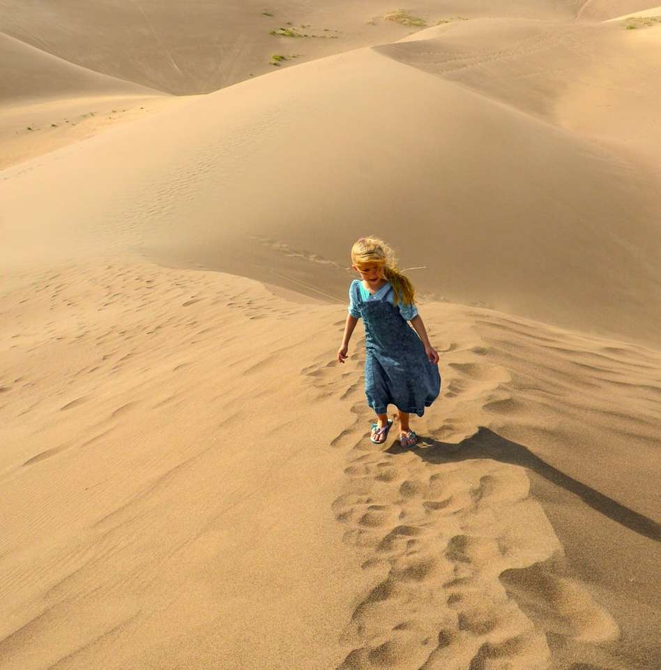 flicka i blå jacka som går på sand under dagtid Pussel online