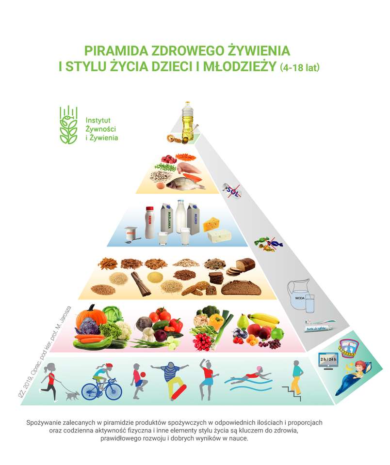 Nutrition pyramid online puzzle