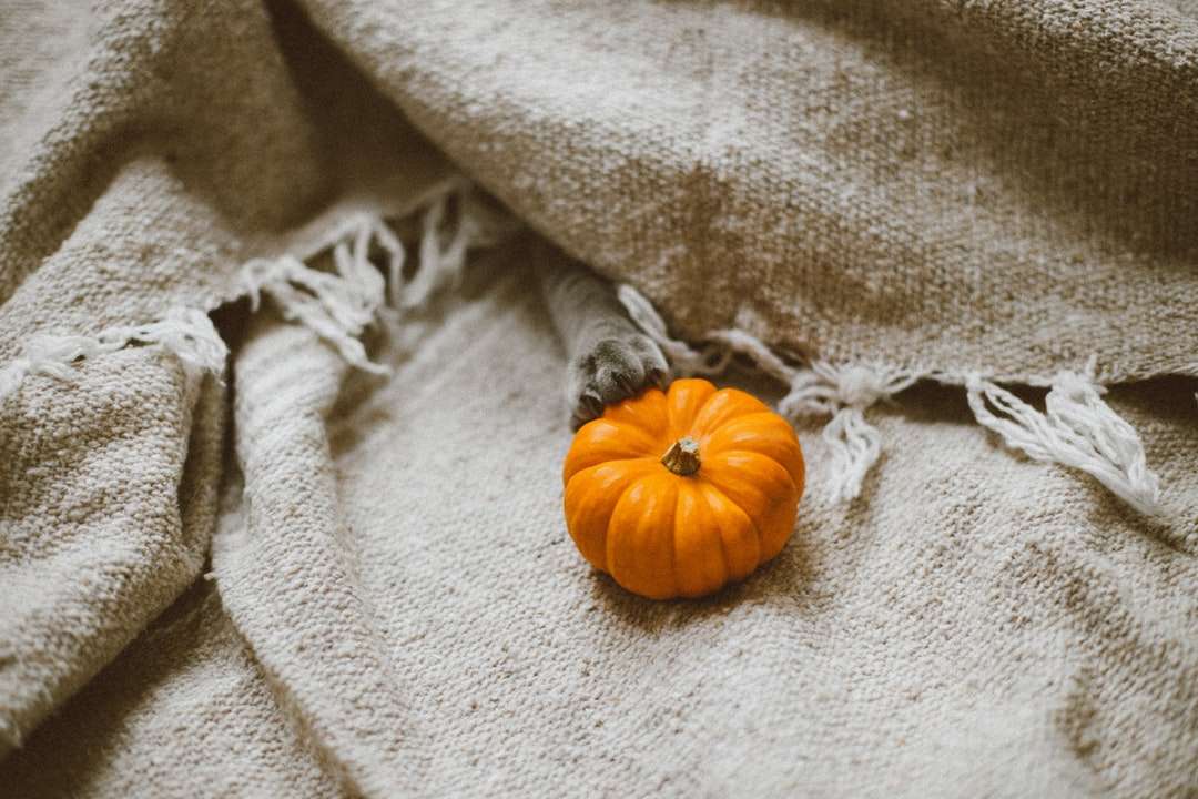 Paw Pumpkin Linen Fabric pussel på nätet
